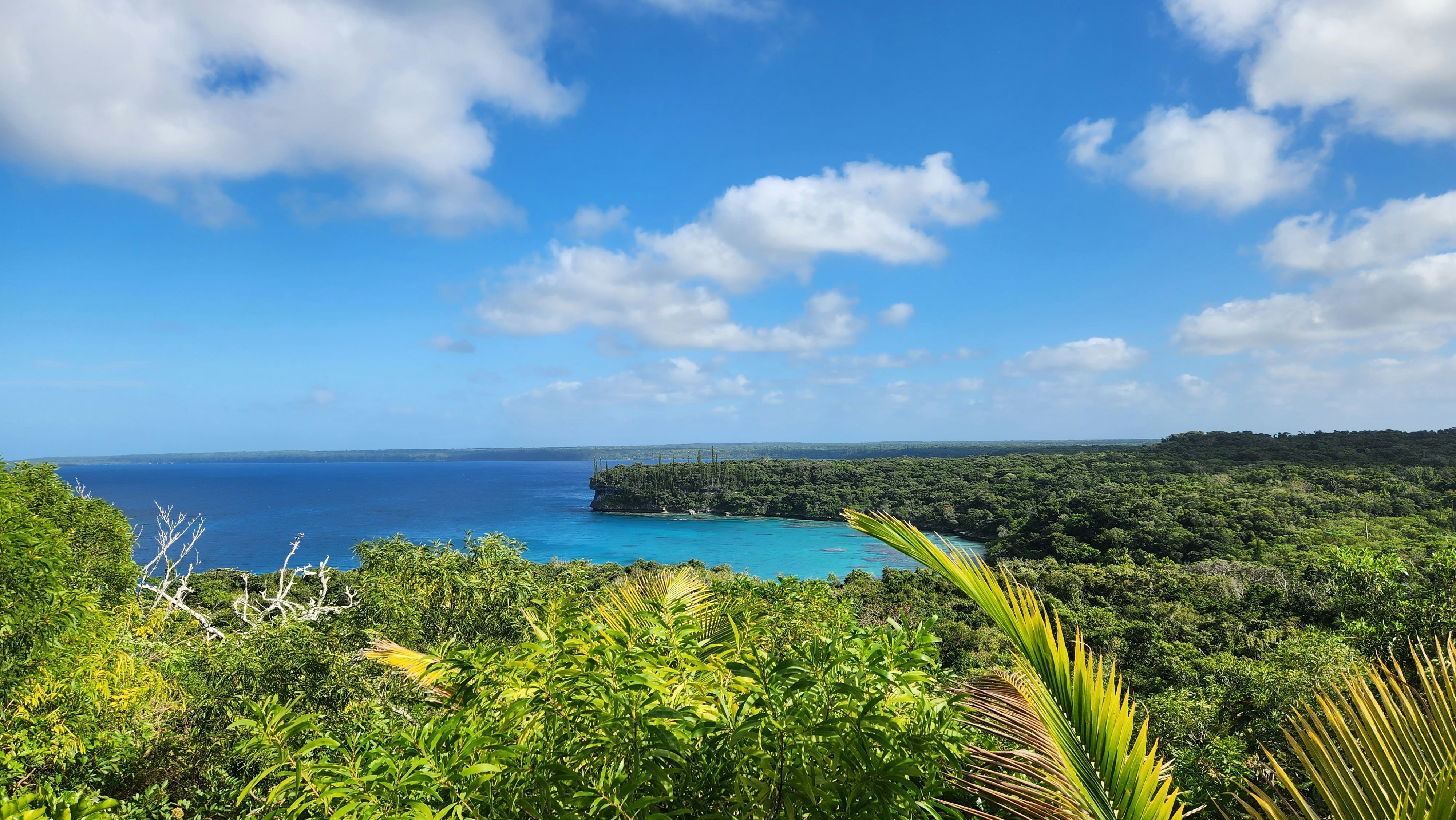New Caledonia landscape