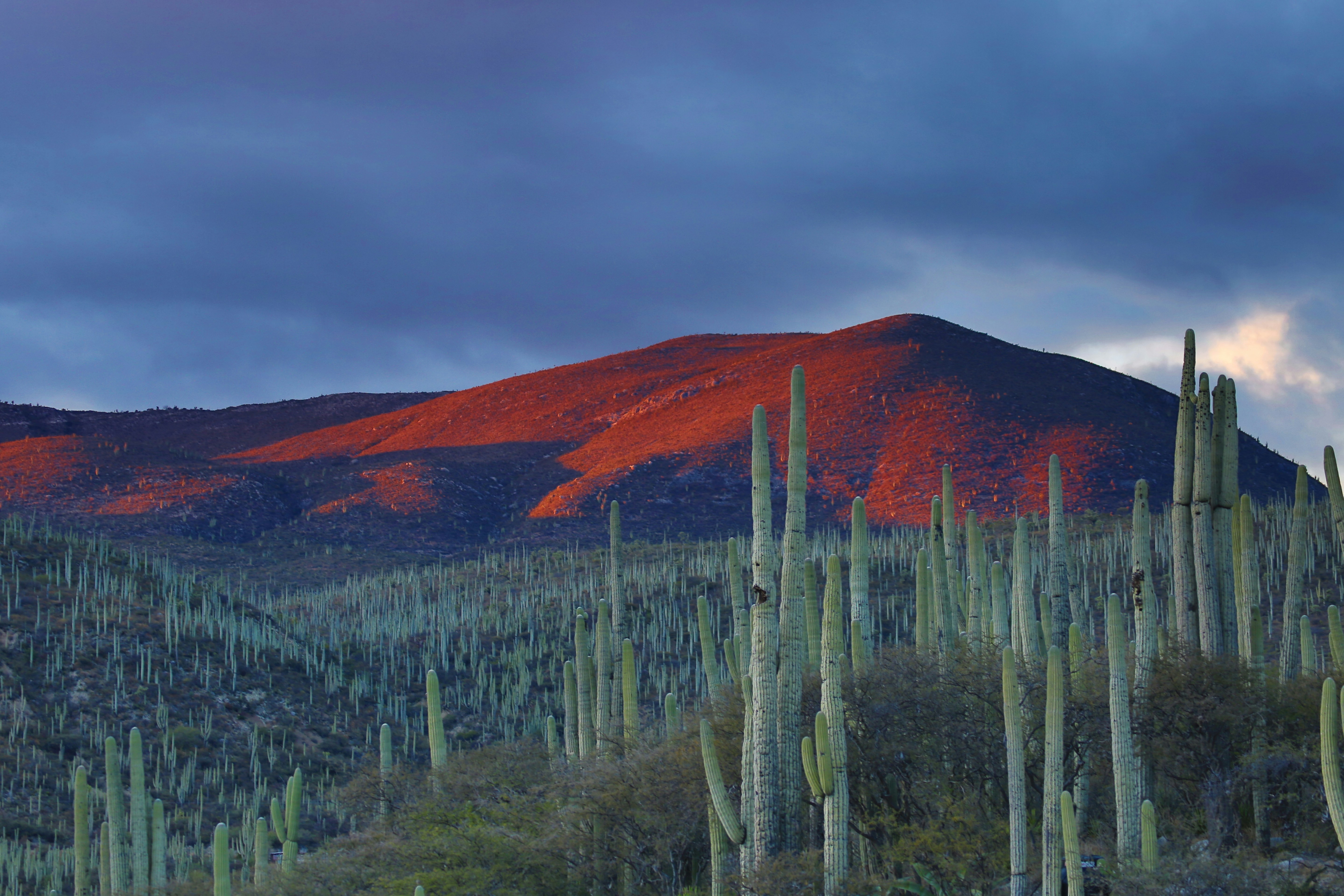 Messico landscape
