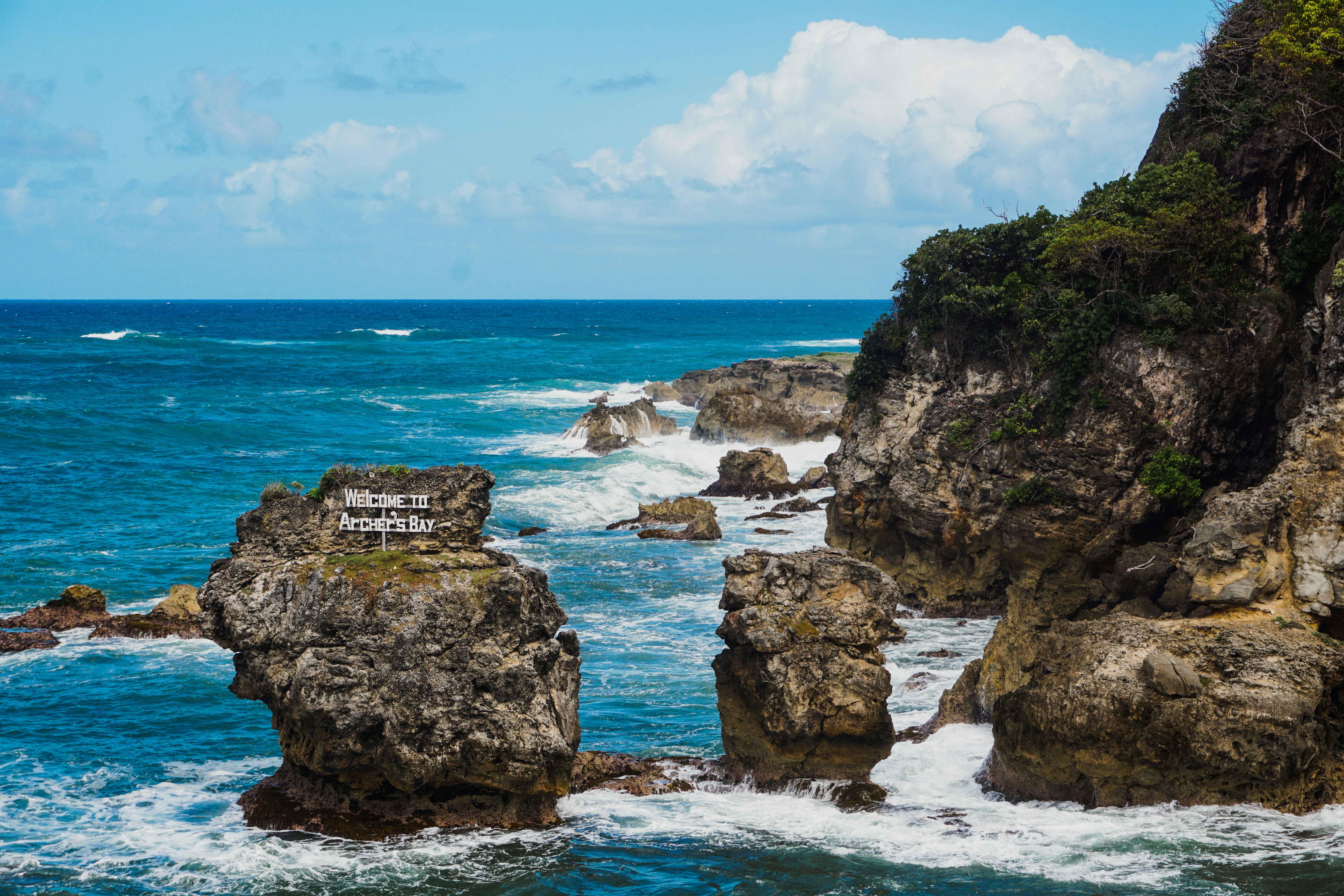 Barbados landscape