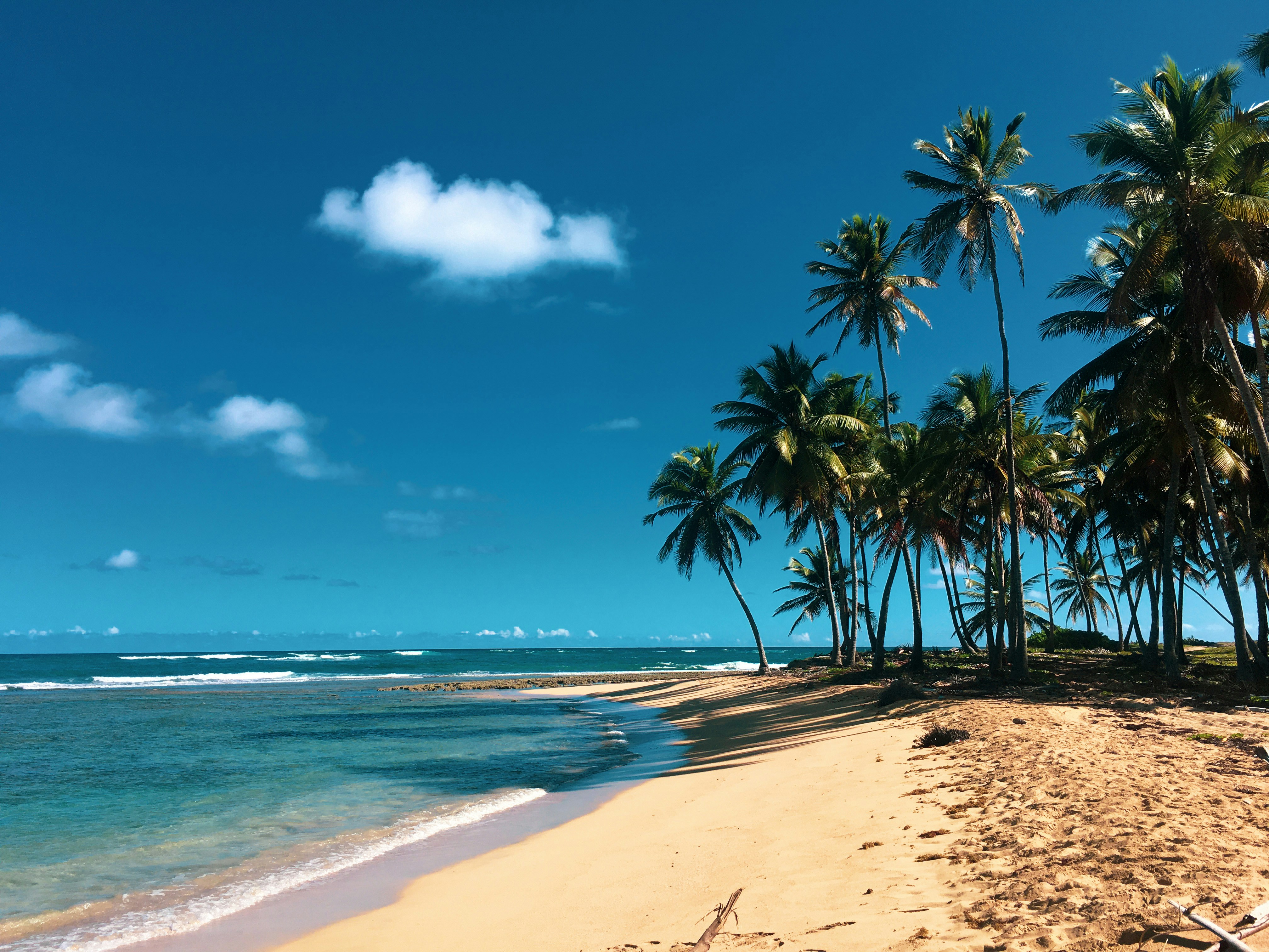Dominican Republic landscape