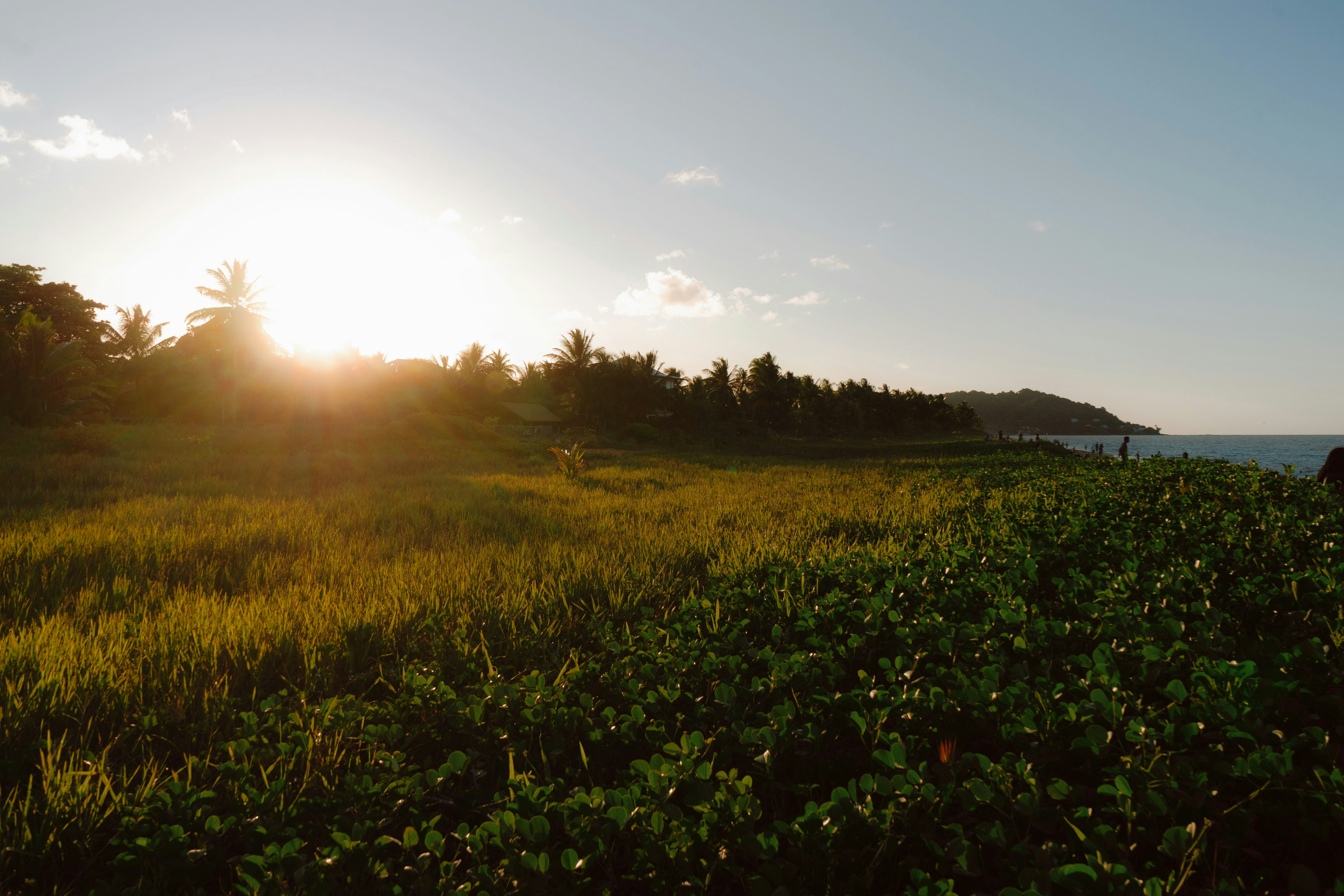 French Guiana landscape