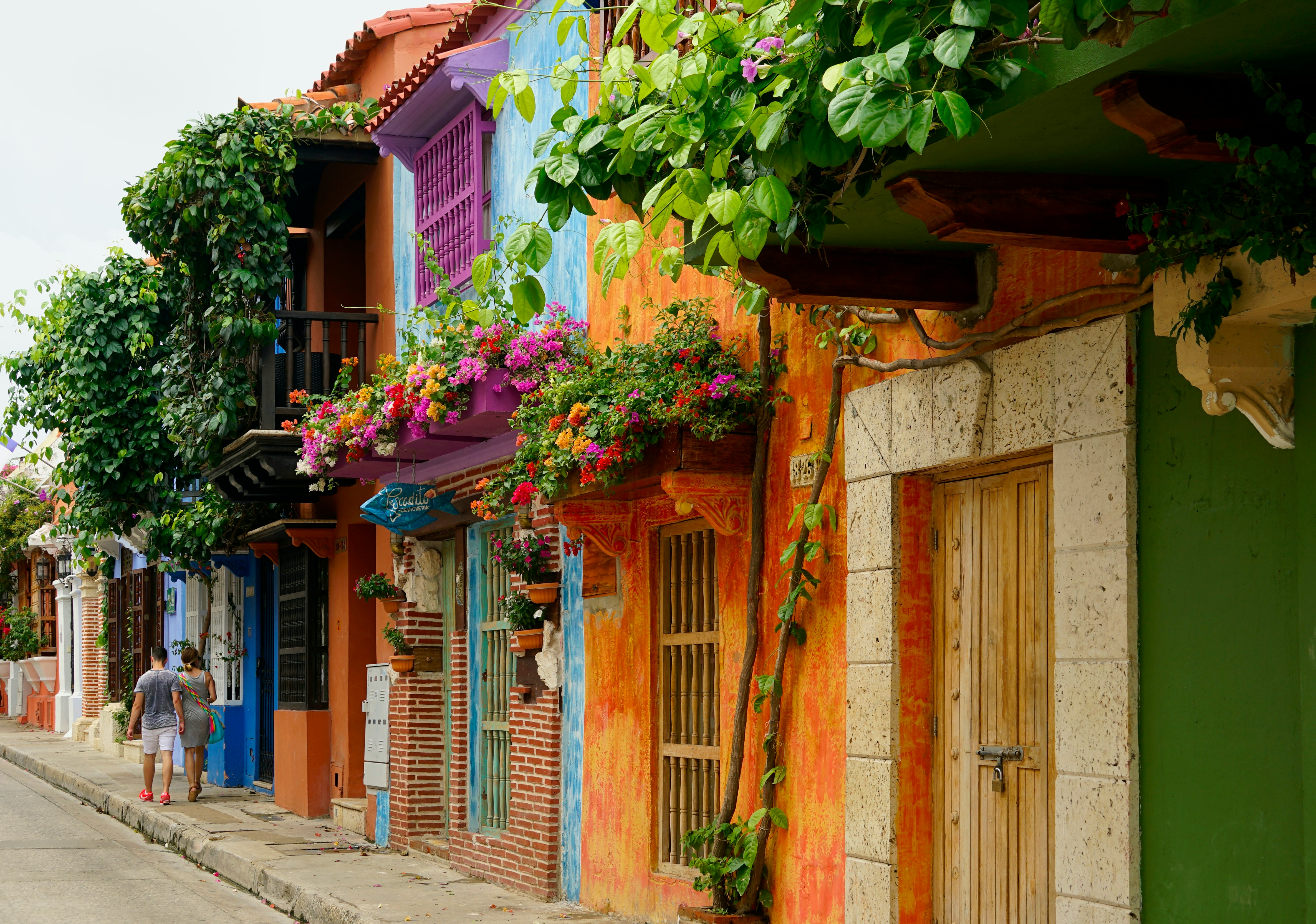 Colombia landscape