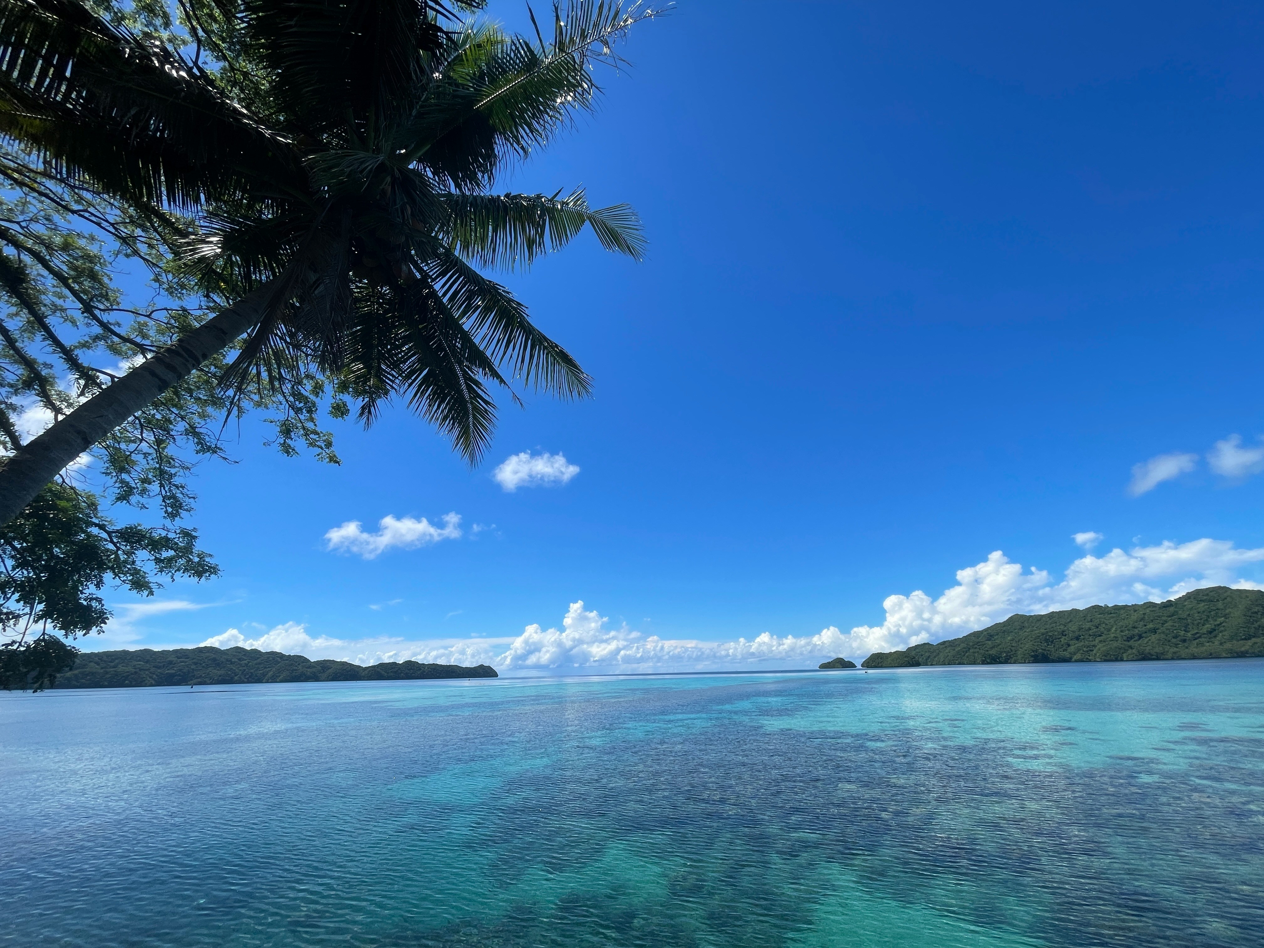 Palau landscape
